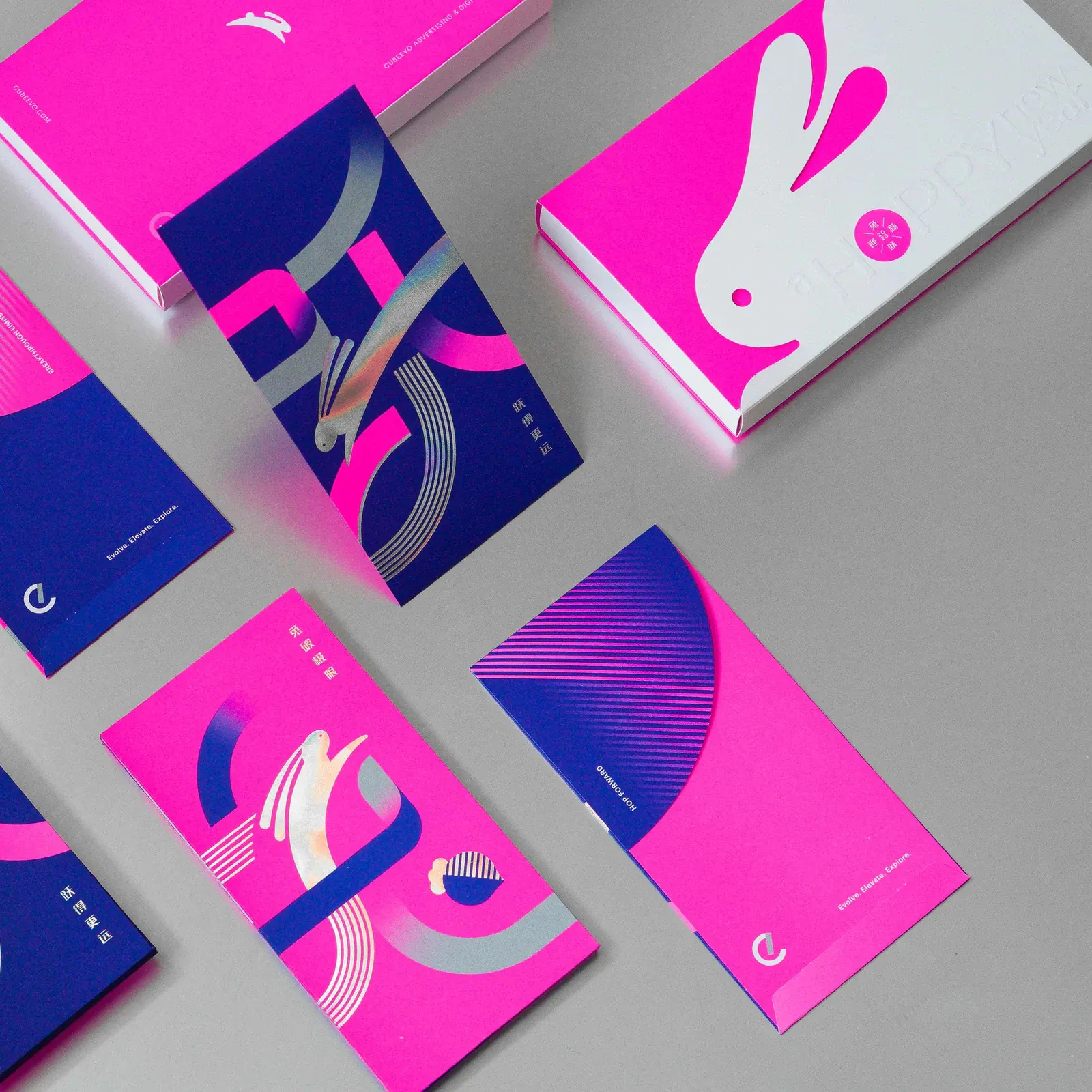 A Hoppy New Year Rabbit Year Money Packets - Premium Edition – view 4